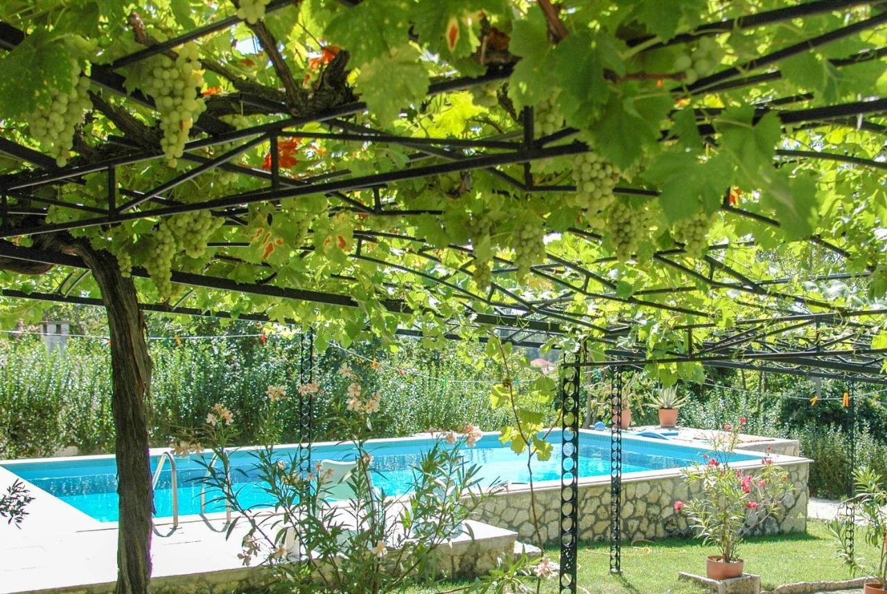 Villa Regina Serafina 巴尔奇克 外观 照片