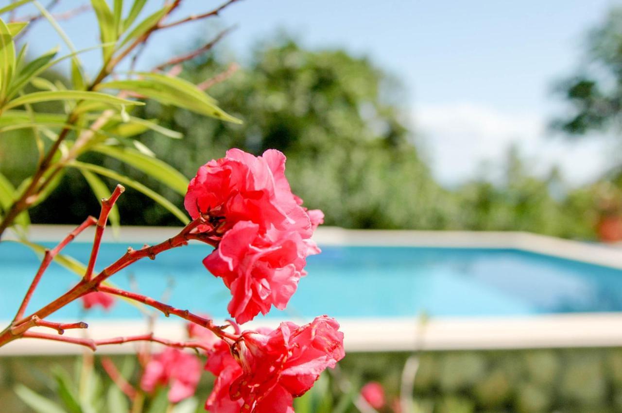 Villa Regina Serafina 巴尔奇克 外观 照片