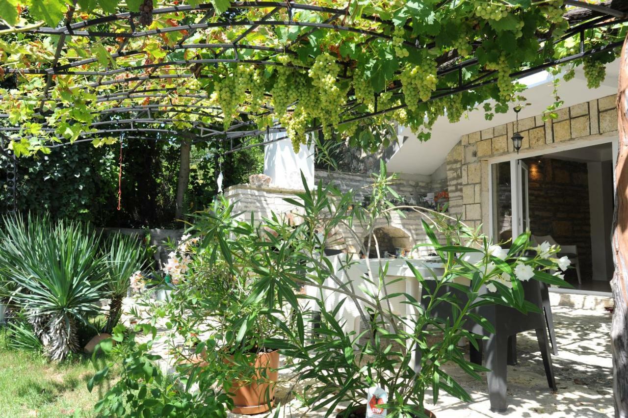 Villa Regina Serafina 巴尔奇克 外观 照片