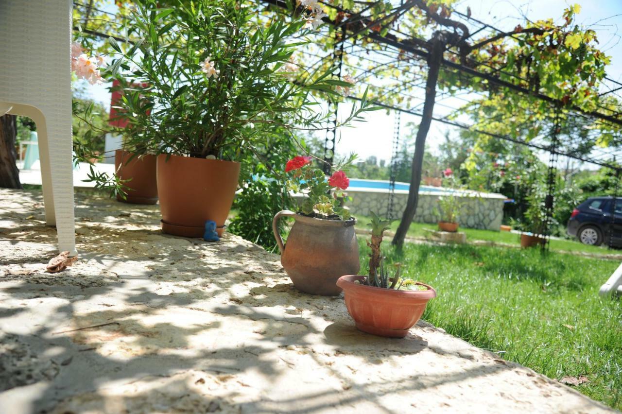 Villa Regina Serafina 巴尔奇克 外观 照片